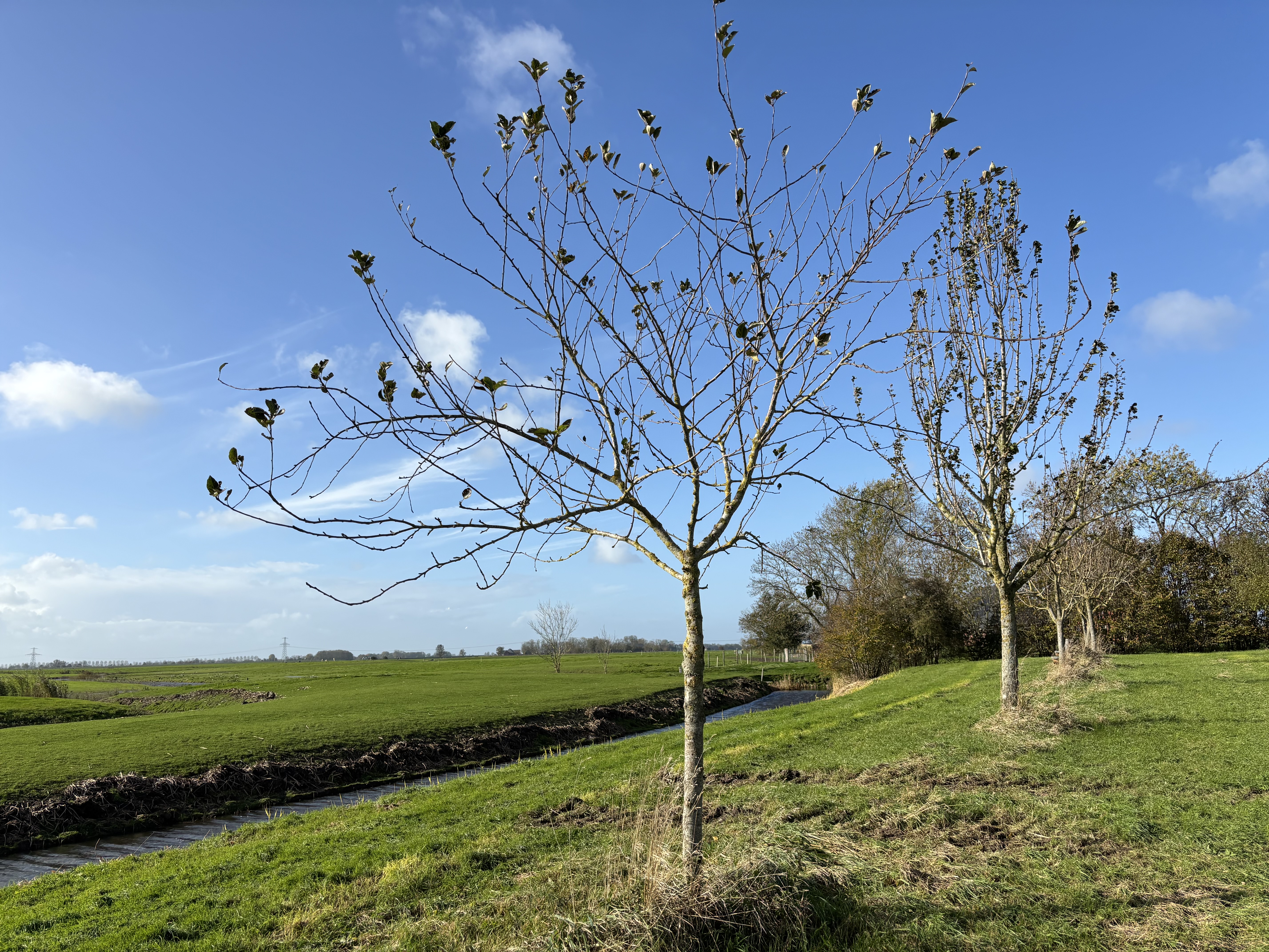 Stressortherapie Laif Lief Groningen - Mariska Kremer